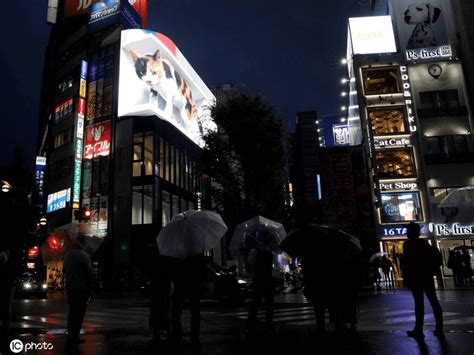 巨型3d猫咪亮相日本东京街头 引路人围观 搜狐大视野 搜狐新闻