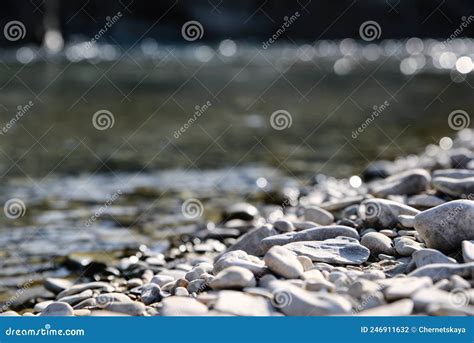 Costa Fluvial Pedras E Seixos No Dia Ensolarado Foto De Stock