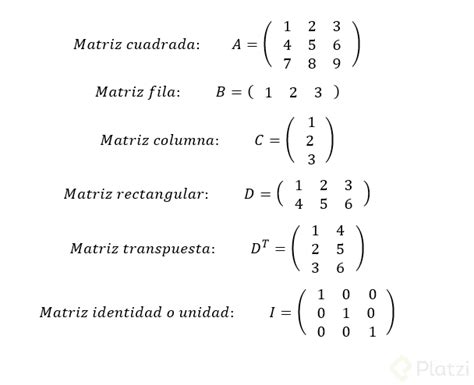 Tipos De Matrices Platzi