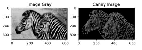 Canny Edge Detection Algorithm With Python By Doğan Can Mavuzer Medium