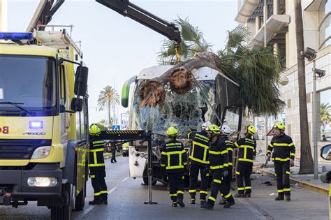 Las imágenes del accidente mortal de un autobús en Cádiz