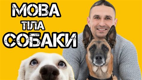 МОВА ТІЛА СОБАКИ - YouTube