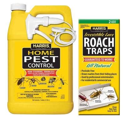 Roach Control: Home Depot Roach Control