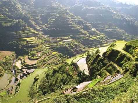 banaue rice terraces philippines history map facts britannica