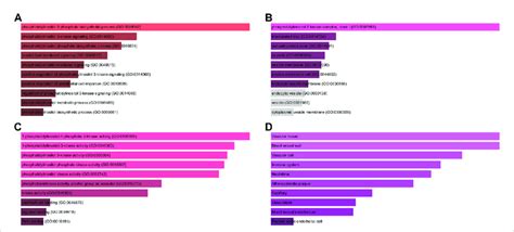 GO Functional And Tissue Annotation For The Common Target Genes Of