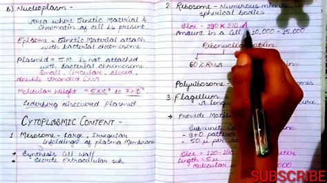 Internal Structure Of Bacterial Cell Structure Of Bacteria Part 2