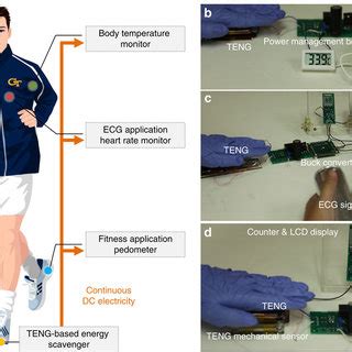 Application In Self Powered Human Activity Sensors A System