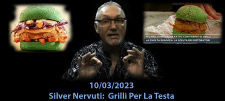 Silver Nervuti Grilli Per La Testa Video 2023 NAMP