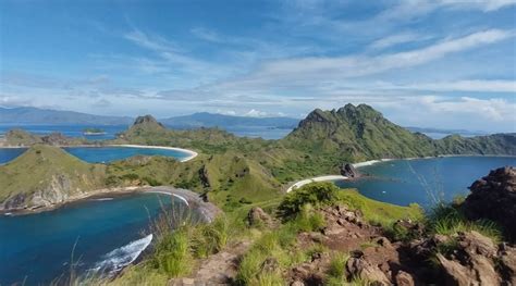 Pulau Padar Tak Hanya Eksotis Namun Juga Rumah Bagi Chelonia Mydas