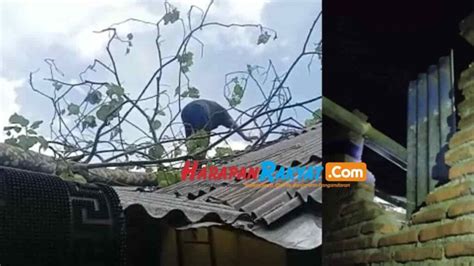 Disapu Angin Kencang Pohon Tisuk Tumbang Timpa Rumah Warga Di