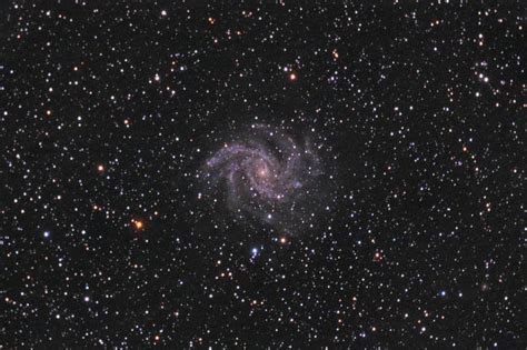 Fireworks Galaxy In Cygnus Cepheus W CPC925 DSLR Mirrorless