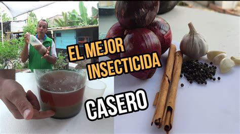 Usa Este Insecticida Casero Para Que Tus Plantas Nunca Más Vuelvan A Tener Plagas Facil