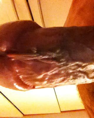 Photos Xhamster Porn Pics PICTOA