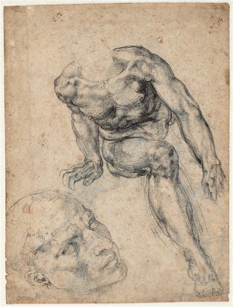 Michelangelo Buonarroti Study Of A Male Nude Art Blart