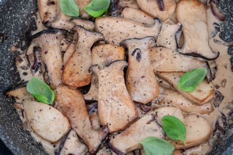 Cremige Kräuterseitlinge in der Pfanne LieberBacken