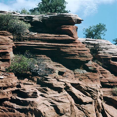 Sandstone rock formation, Zion National Park, Utah - UTAH300 00524 Photograph by Kevin Russell ...