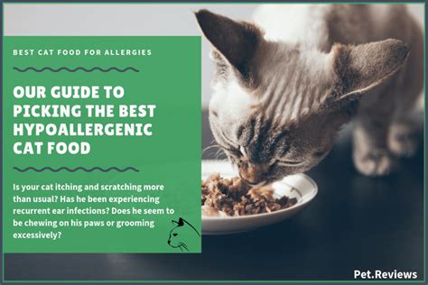 9 Best (Hypoallergenic) Cat Foods for Cats with Allergies in 2022