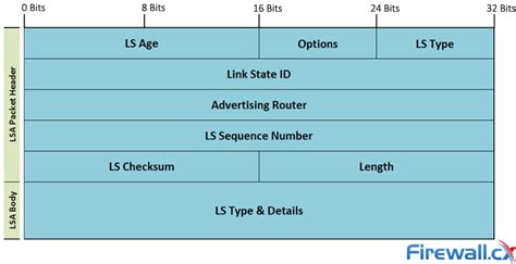 Ospf Part Analysis Of Ospf Link State Update Lsu Link State