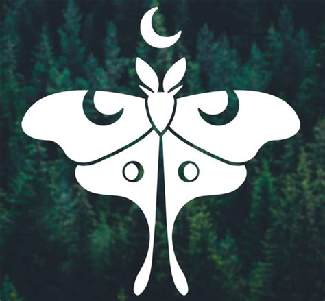 Beautiful Luna Moth Decal Sticker Anystickeruwant