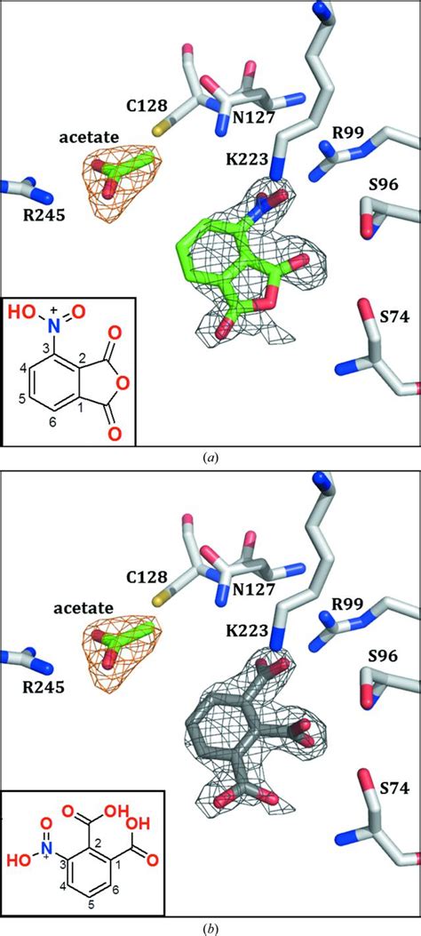 IUCr A Cautionary Tale Of Structure Guided Inhibitor Development