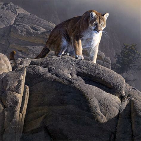 Гора тигр - 96 фото