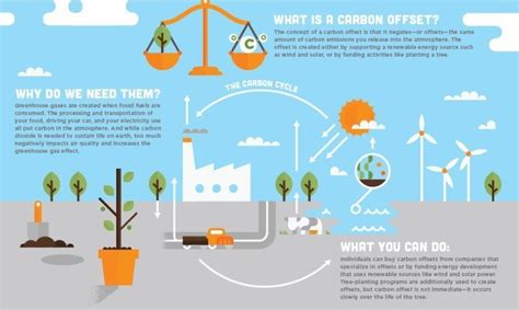 What Is Carbon Offsetting World Economic Forum