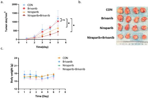 Addition Of Brivanib Enhances The Inhibitory Effect Of Niraparib On Oc