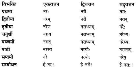 Class 7 Sanskrit Grammar Lecture Tat Vah Shabd Roop 44 Off