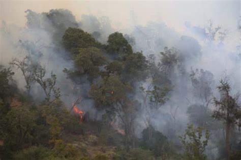 Mount Kenya Park Fire Still Raging Moves Towards Aberdare