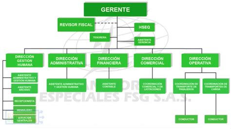 Decaer Morfina Torrente Organigrama De Una Empresa De Transporte Ramo