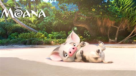 Moana Disney Domestic Pig Pua HD Cartoon Wallpapers | HD Wallpapers ...