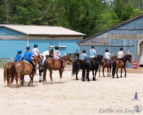 Blue Rider Stables Blue Rider Stables