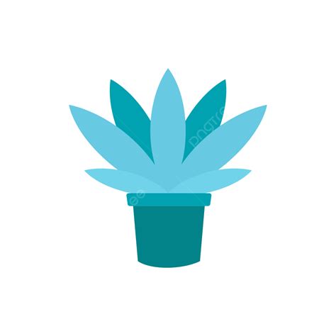 Planta Azul En Maceta PNG Plantas En Macetas Planta Maceta PNG Y