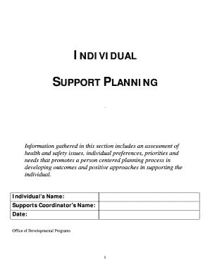 Individual Support Plan Examples Fill Online Printable Fillable