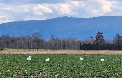 Rekordowe temperatury w regionie Tak ciepło w marcu nie było u nas od