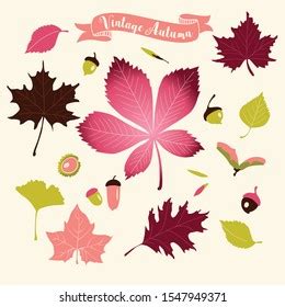 Set Vintage Fall Leaves Stock Vector (Royalty Free) 1547949371 ...