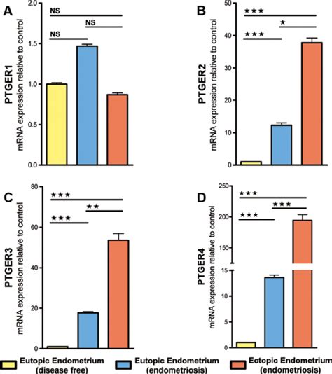 Real Time PCR Gene Expression Analysis Of The Four Receptors PTGER1 4