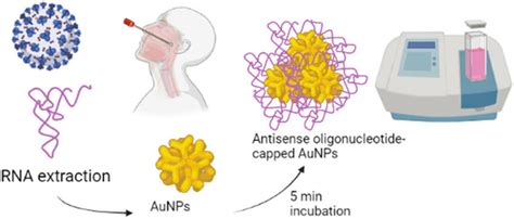 Schematic representation of a colorimetric assay based on antisense ...