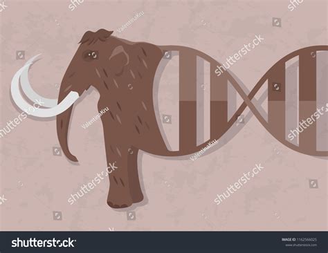 Mammoth Dna Possibility Resurrection Biology Cloning Stock Vector ...