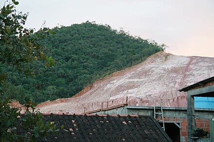 deforestation wikipedia