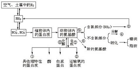 “绿色 的含义除了包括绿色植物绿色生活方式及消费理念外还应包括尊重自然珍惜生命追求天人合一的生态伦理道德人与自然和谐相处的生态理念等