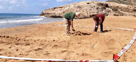 Comienza La Campa A De Sensibilizaci N Territorio Tortuga Con Motivo