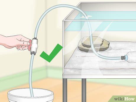 3 Ways To Make A Gentle Aquarium Siphon Or Vacuum WikiHow