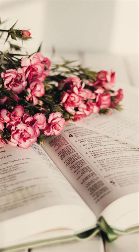 Pin by Анна VS on In color life | Book flowers, Bible pictures, Book ...