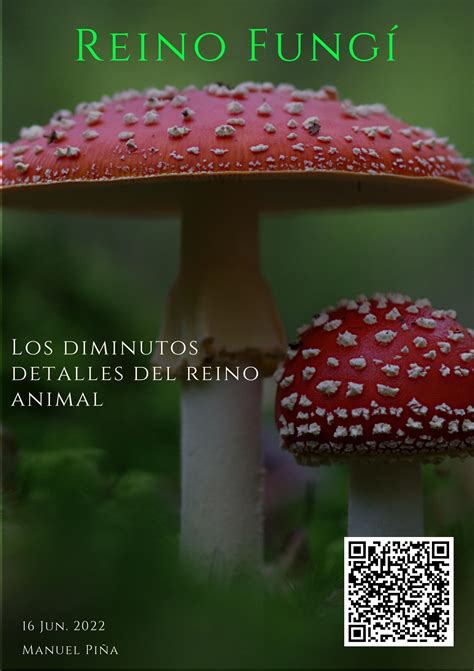 Reino Fungi By Manuel Piña Issuu