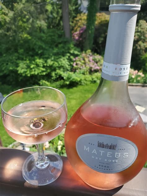 Portuguese Mateus An Iconic Best Selling Rose` Thats Now Better Than