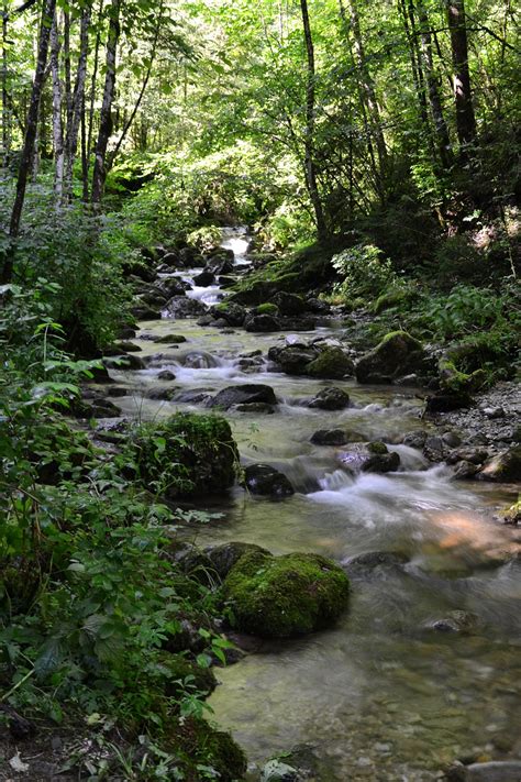 Arroyo Torrente Agua Foto Gratis En Pixabay Pixabay