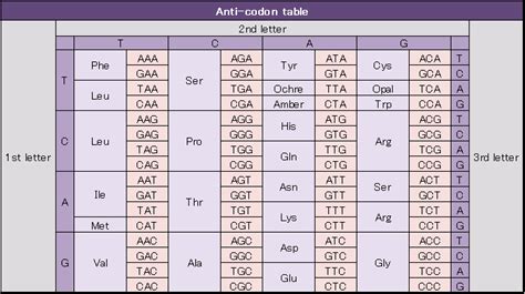 Anticodon Chart