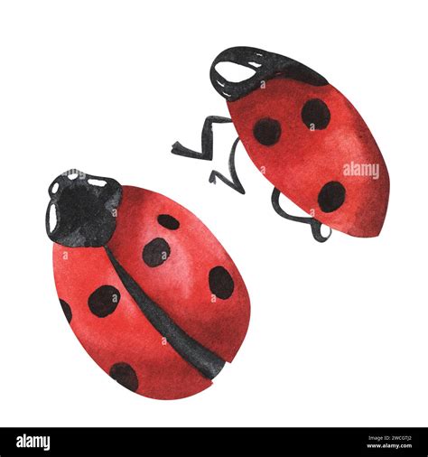 Ladybug with watercolor.Illustration cute red bugs spreading wings.Big ladybug set.lovely red ...