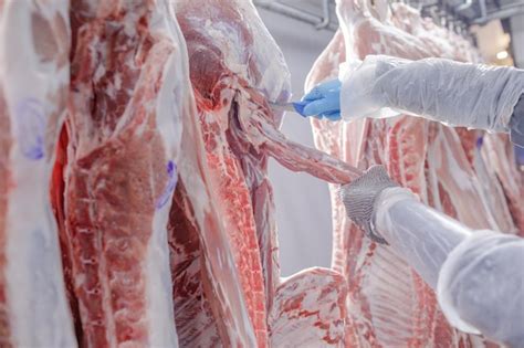 Primer Plano Del Procesamiento De Carne En La Industria Alimentaria Un